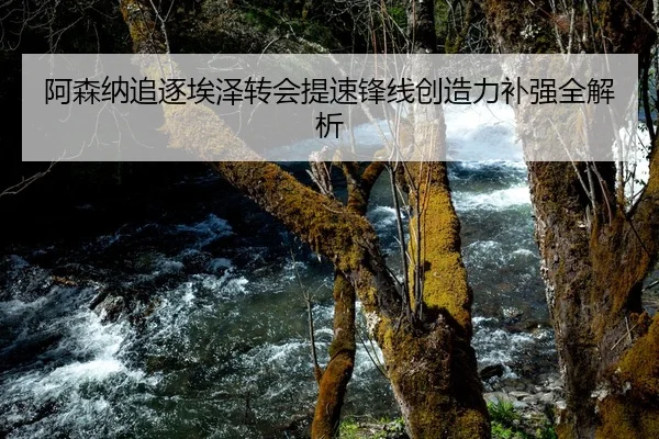阿森纳追逐埃泽转会提速锋线创造力补强全解析